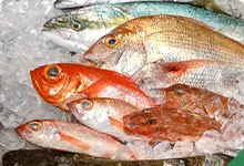 魚介類